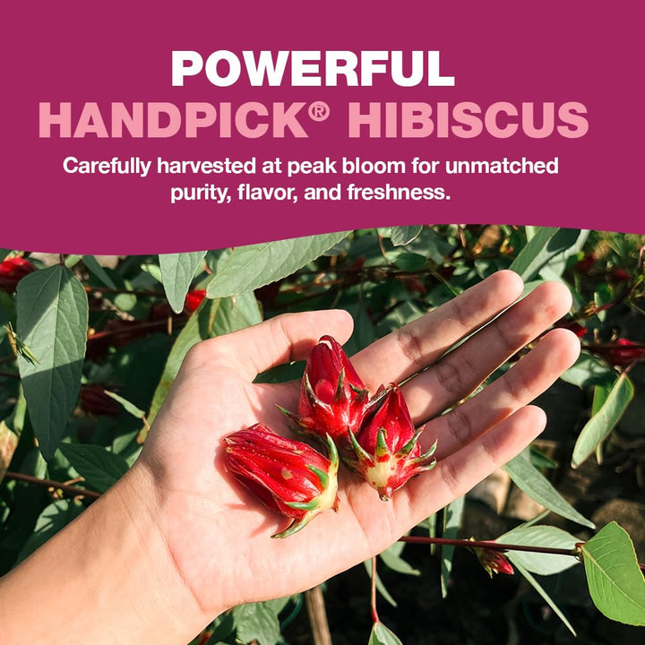 HANDPICK Hibiscus Tea Bags - 100 Count | 100% Pure Herbal Tea | Brew Hot or Iced | Carbon-Neutral & Plastic-Neutral