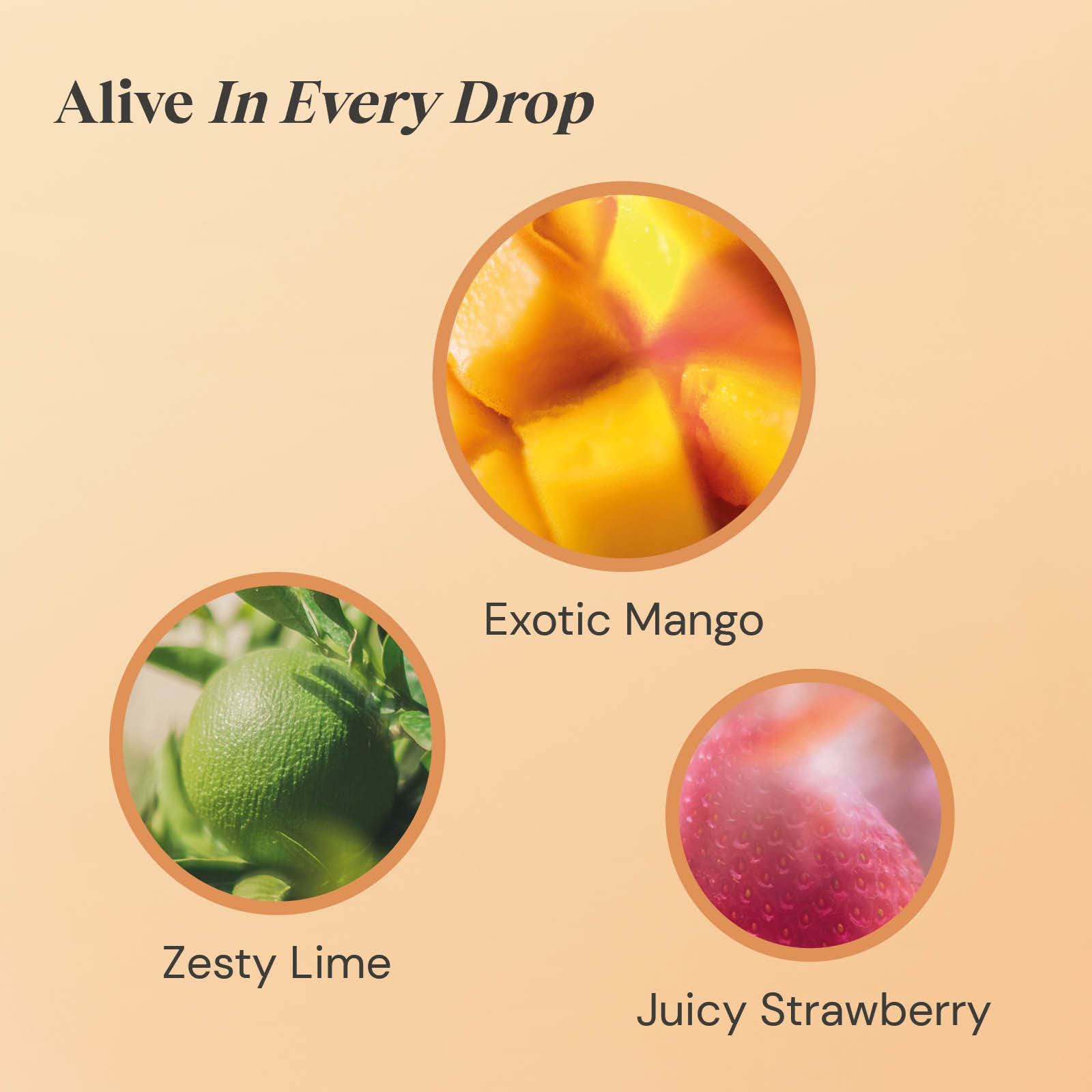 Twinings Früchtetee Mango Erdbeere &amp; Limette 80 Beutel (4 x 20) Koffeinfrei 3