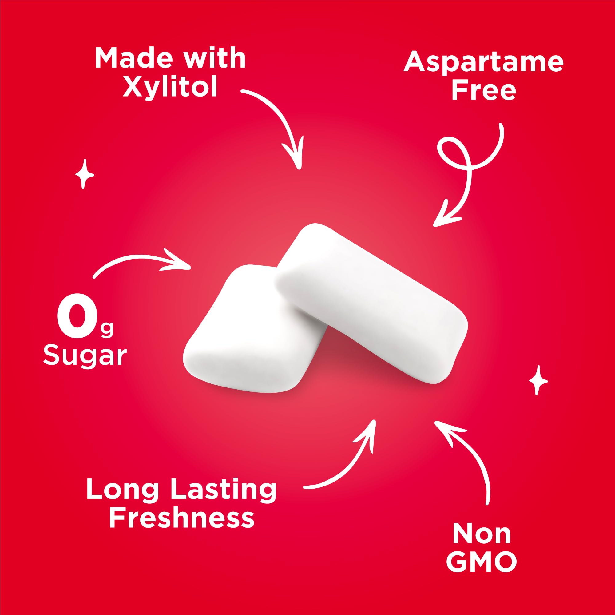 PUR - Natural Cinnamon Sugar-Free Chewing Gum (55 Pieces, Pack of 3) 3