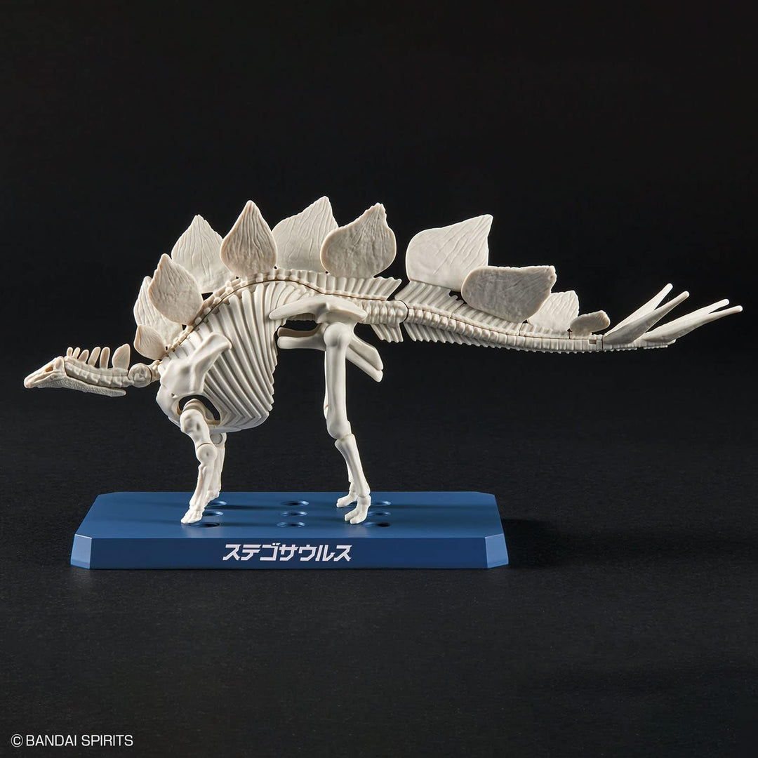 Bandai Dinosaur Plastic Stegosaurus Model Kit - Buildable Prehistoric Creature Toy