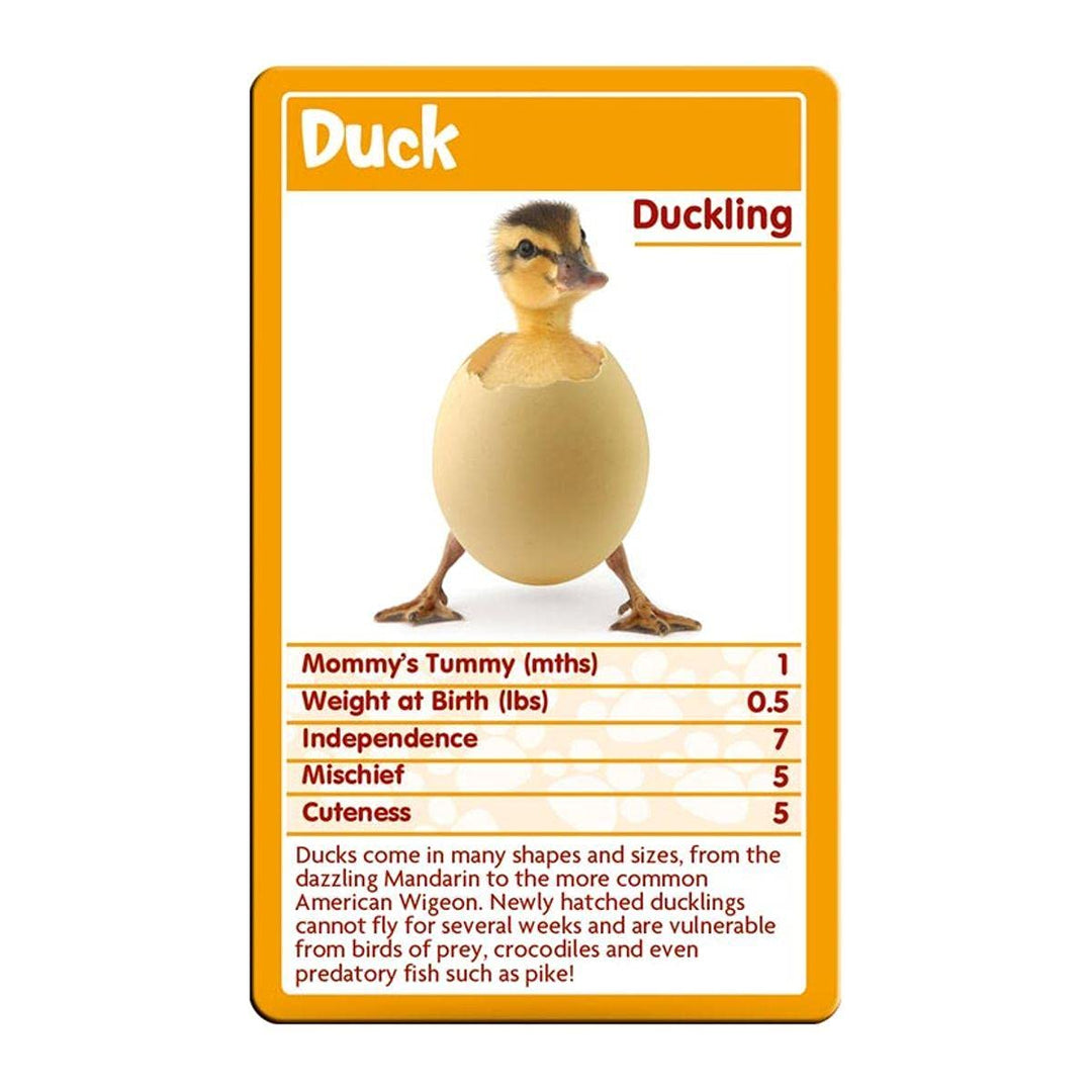 Top Trumps Baby Animals Classics Card Game - Educational Animal Facts for Kids 8+