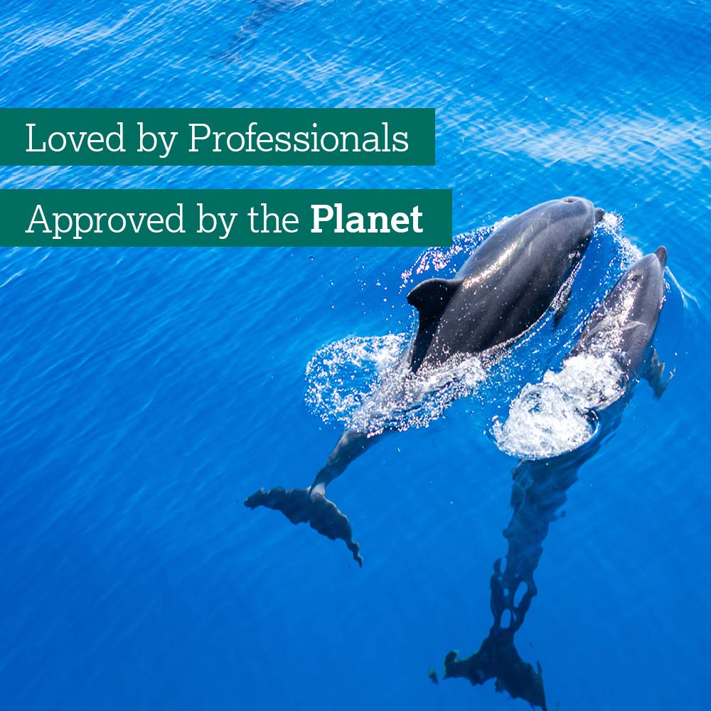 Delphis Eco - Spülmittel 500 ml | Natürlich, pflanzlich, vegan 5