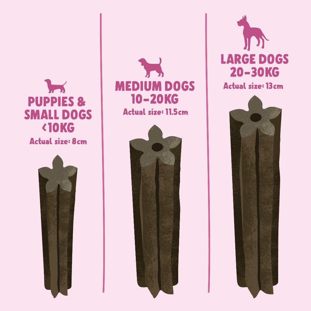 Denzel's Puppy Dental Sticks - Salmon & Spearmint Flavor | 7 Sticks | Small Dog & Puppy Oral Care 3