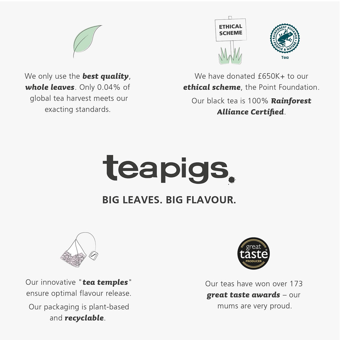 teapigs Spiced Winter Red Tea Bags - Rooibos Herbal Blend with Cinnamon, Cloves & Orange Peel