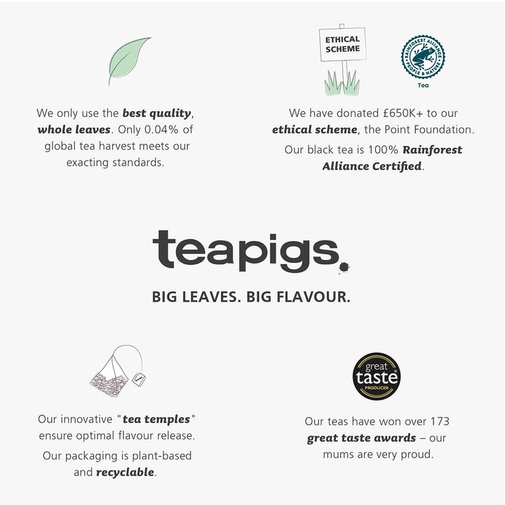 teapigs Spiced Winter Red Tea Bags - Rooibos Herbal Blend with Cinnamon, Cloves & Orange Peel