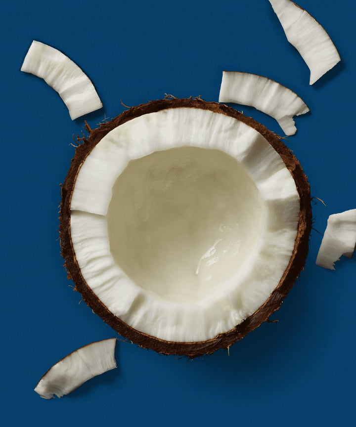 Plenish Organic Unsweetened Coconut Milk (1 Litre)