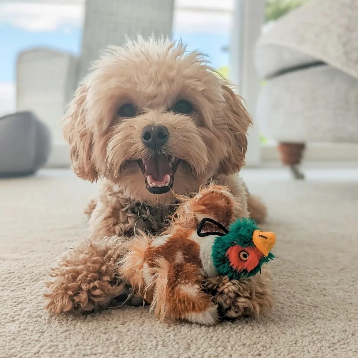 House of Paws Small Pheasant Plush Dog Toy with Squeaker 4