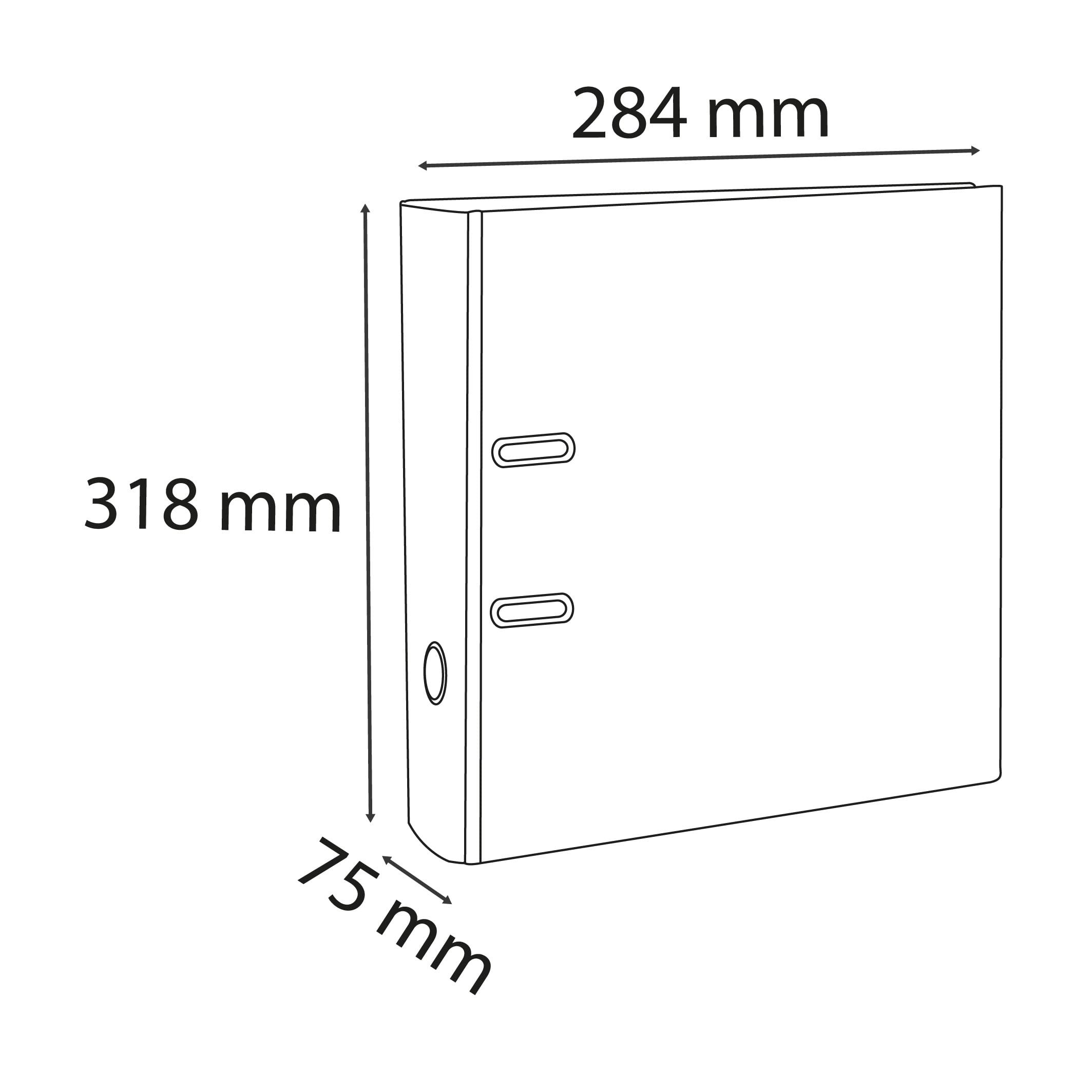 Exacompta PP Lever Arch File 918402B - 80mm Spine | A4 Size | White 3