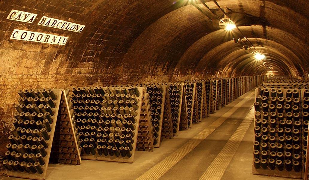Anna De Codorniu Clasico Brut Cava White Sparkling Organic 75cl 6