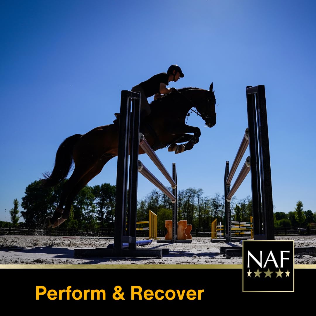 NAF EnerG Shot - Rapid Energy Boost for Horses | Iron & B Vitamins | Pack of Three 6