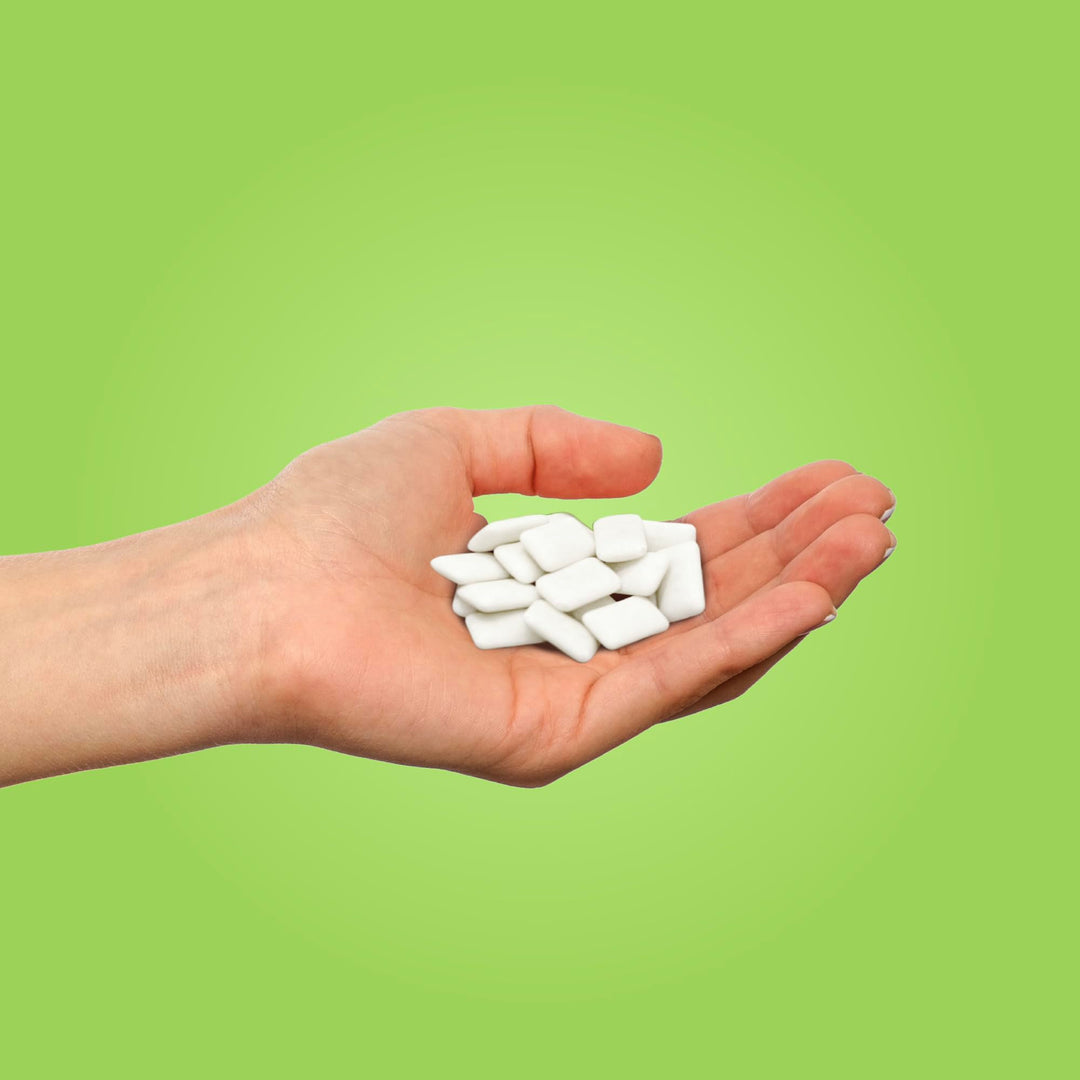 PUR - Coolmint Sugar-Free Chewing Gum (55 Pieces, Pack of 6)