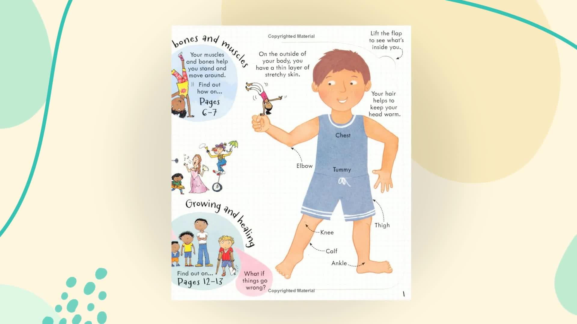 Usborne Look Inside Your Body - Flap Book for Early Learning | Board Book | English 2