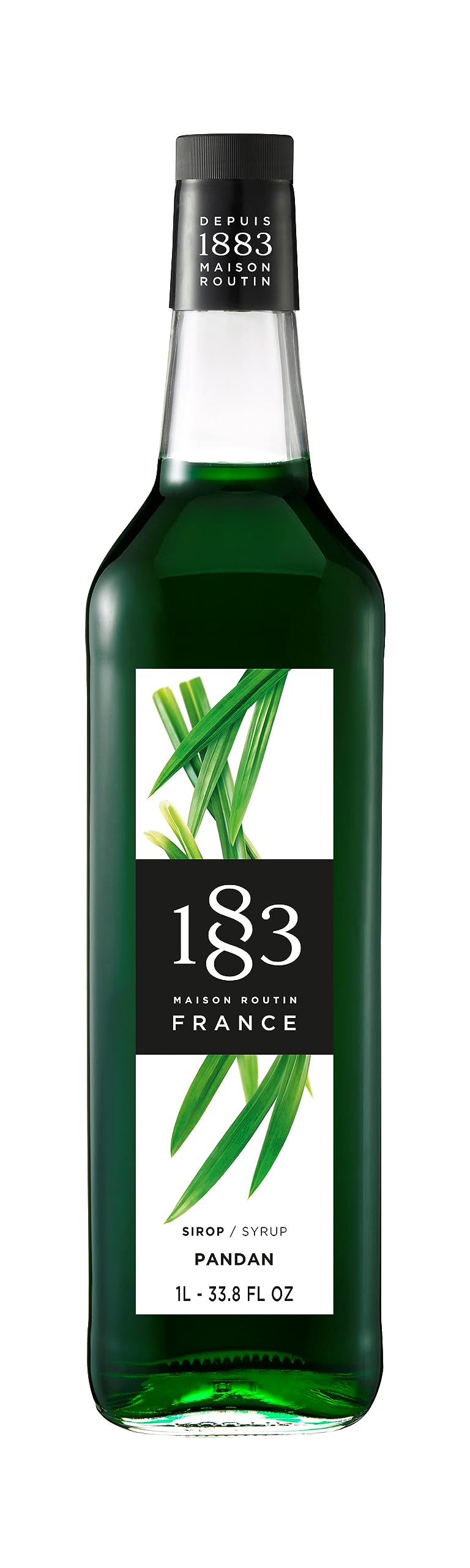 1883 MAISON ROUTIN Pandan Syrup - Aromatic Flavor for Lattes, Cocktails & Desserts | 1 L 1
