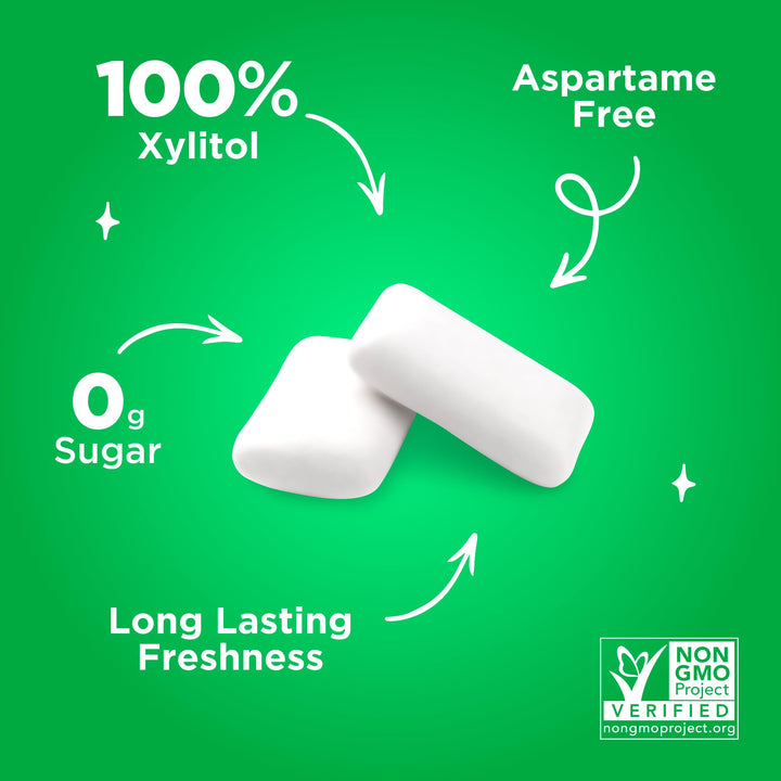PUR Gum - Sugar Free Chewing Gum with Xylitol, Natural Spearmint Flavor, Vegan & Aspartame Free (55 Pieces, Pack of 6)