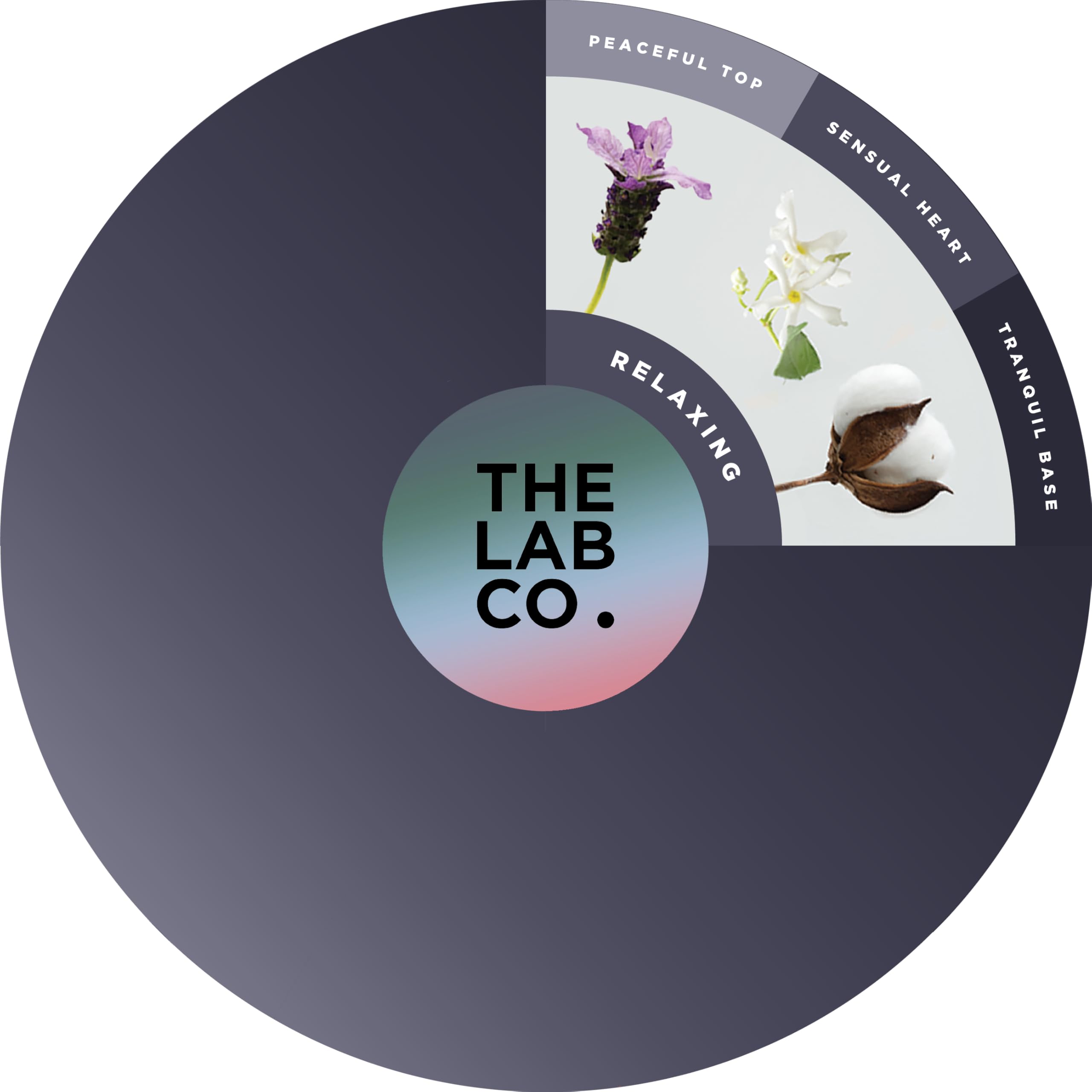 The Lab Co. - Relaxing Mood Non-Bio Concentrated Laundry Detergent 1L 3