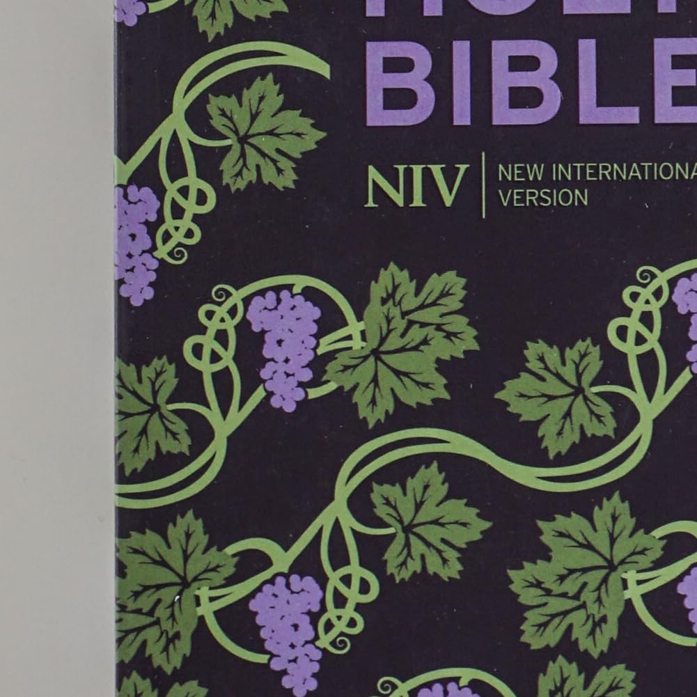 Hodder Faith NIV Holy Bible (Hodder Classics) - Paperback | English Language | 960 Pages 4