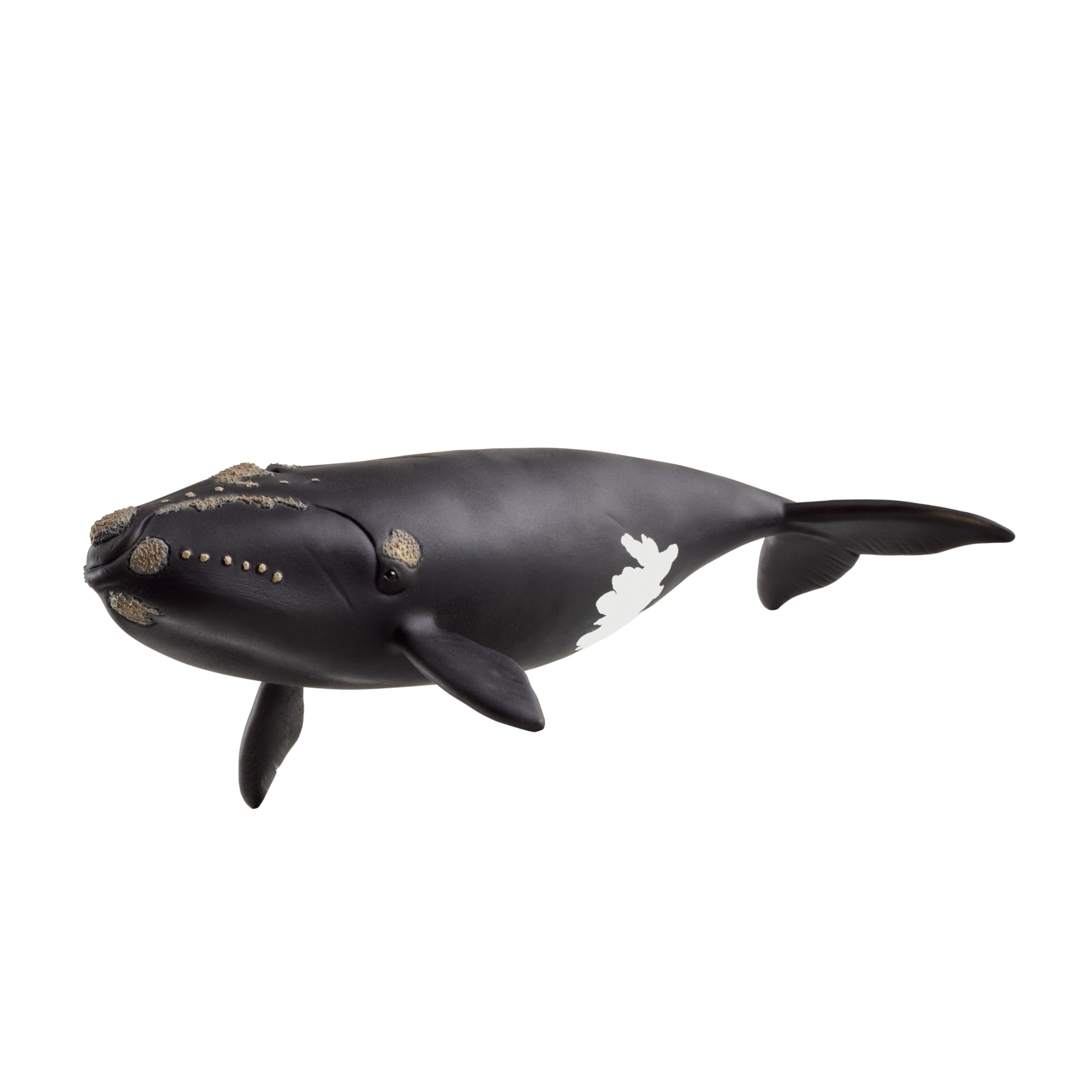 Schleich Wild Life Right Whale Figurine - Realistic 19cm Ocean Animal Toy for Kids 1
