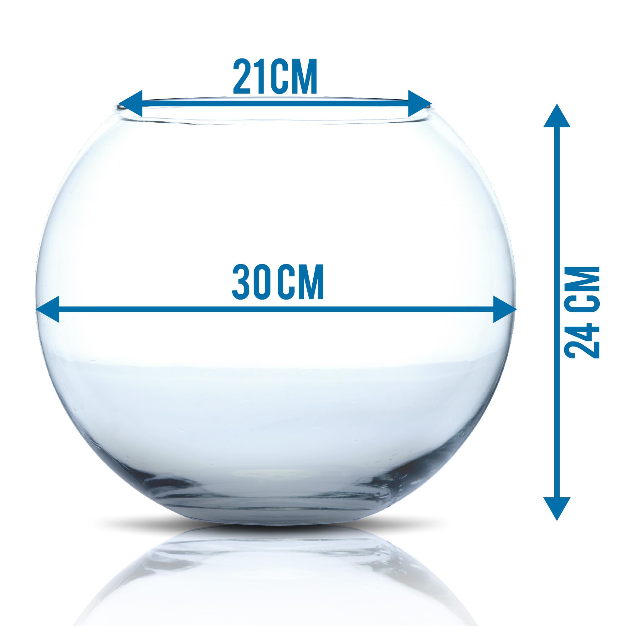 Amtra Crystal Globe Hand-Blown Glass Fishbowl Aquarium | 30 CM Diameter
