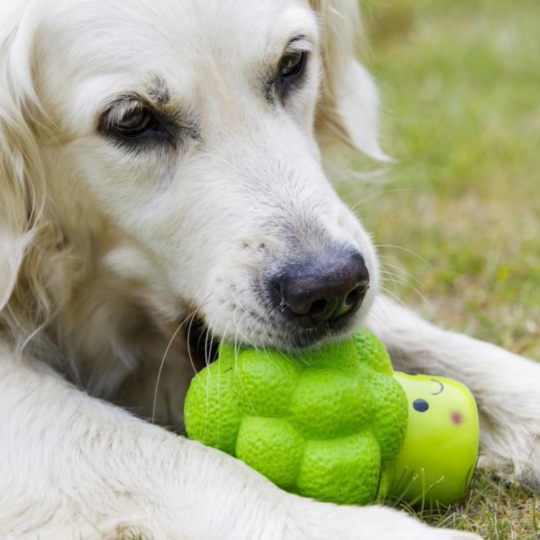 Petface Large Latex Broccoli Soft Squeak Chew Dog Toy | Durable Natural Rubber