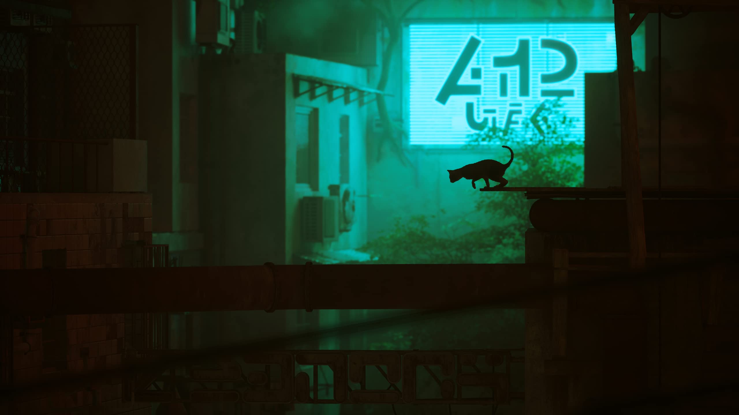 Stray (PS4) 4