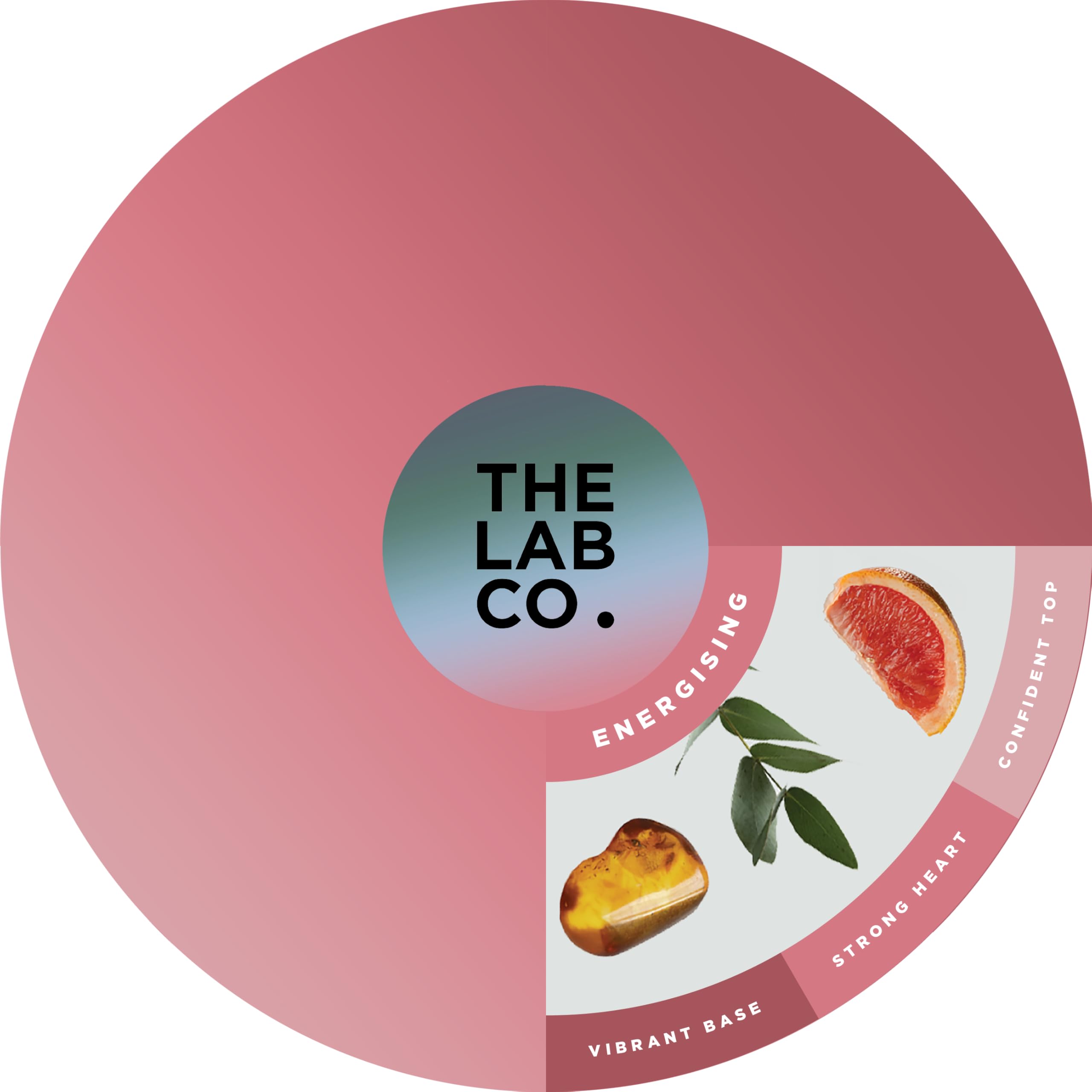 The Lab Co. - Laundry Detergent Strips 64 Loads (Eco Ultra-Concentrated, Non-Bio, Sensitive Skin, Fragrance: Grapefruit Amber Eucalyptus) 5