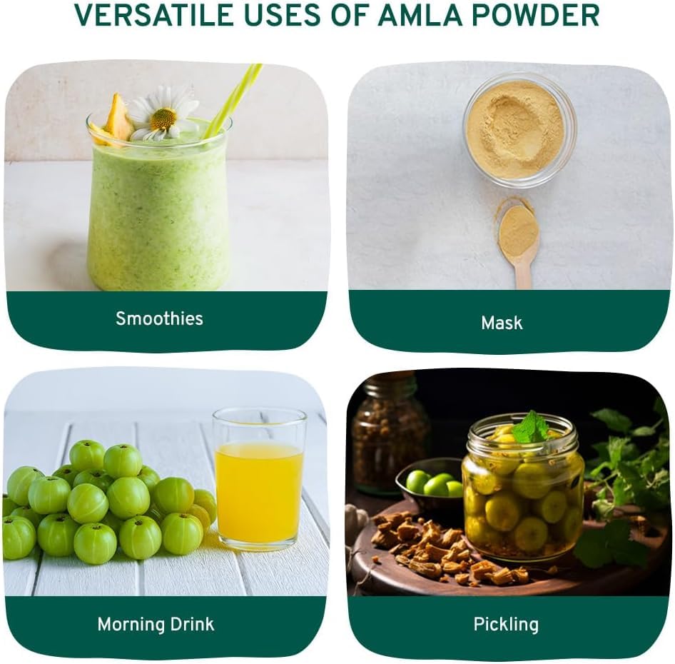 HANDPICK Amla Powder (500g) - Raw Indian Gooseberry Powder from Maharashtra | Non-GMO, Resealable Pouch