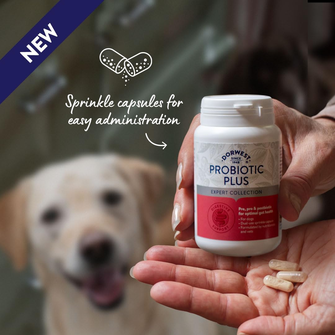 DORWEST HERBS Probiotic Plus for Dogs - Pre, Pro & Postbiotic Support | 100 Capsules 5