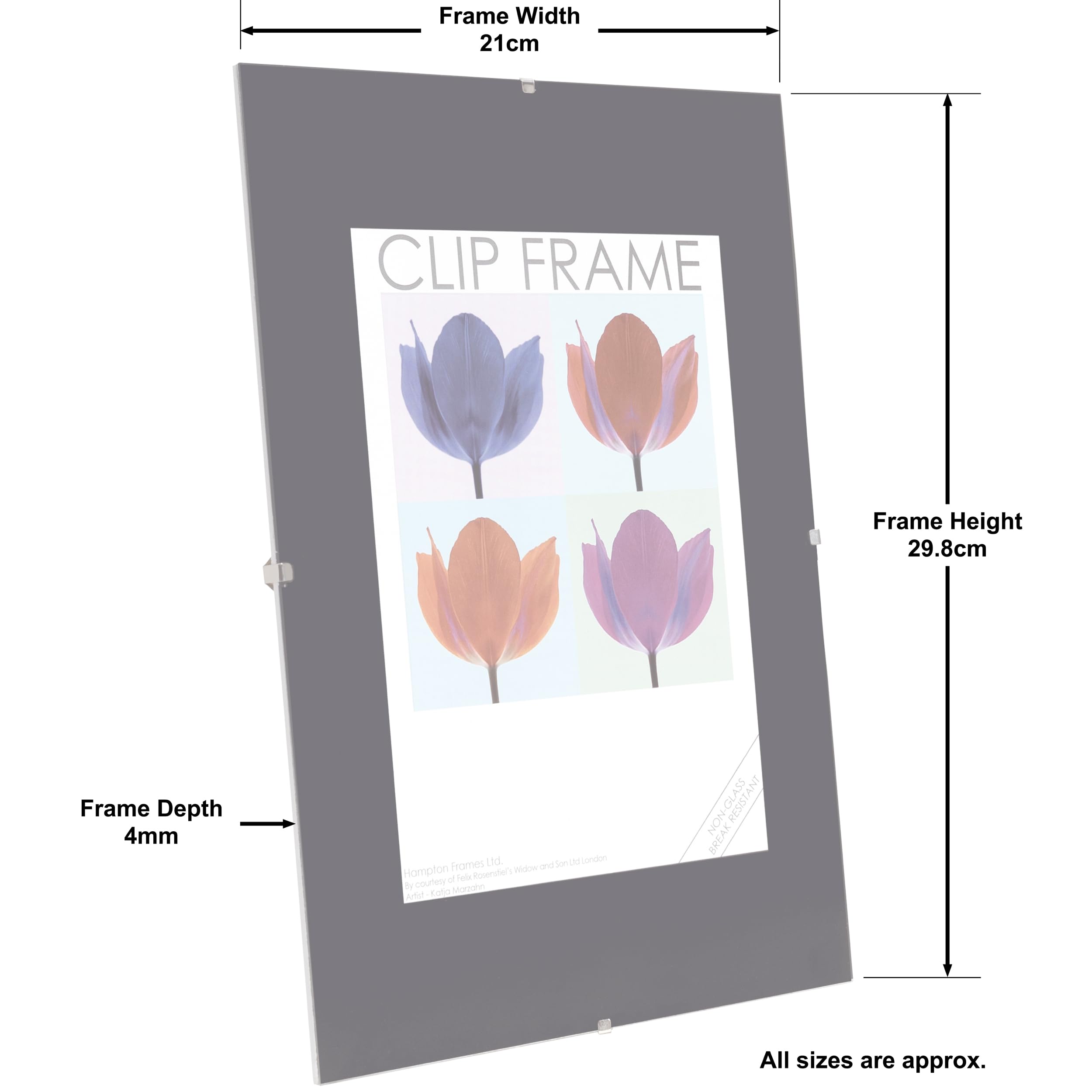 Hampton Frames CLIP Photo Poster Display Clip Frame - Frameless A4 (21x30cm) Clear Plastic CF2130NG 7