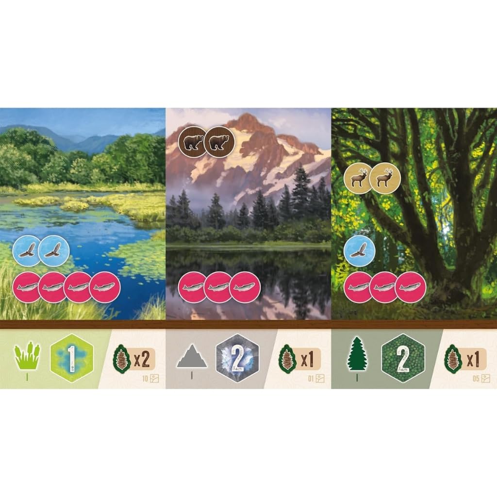 AEG Cascadia Rolling Hills Roll & Write Puzzly Dice Game | 1-4 Players | Ages 10+ | 30-45 Min 3