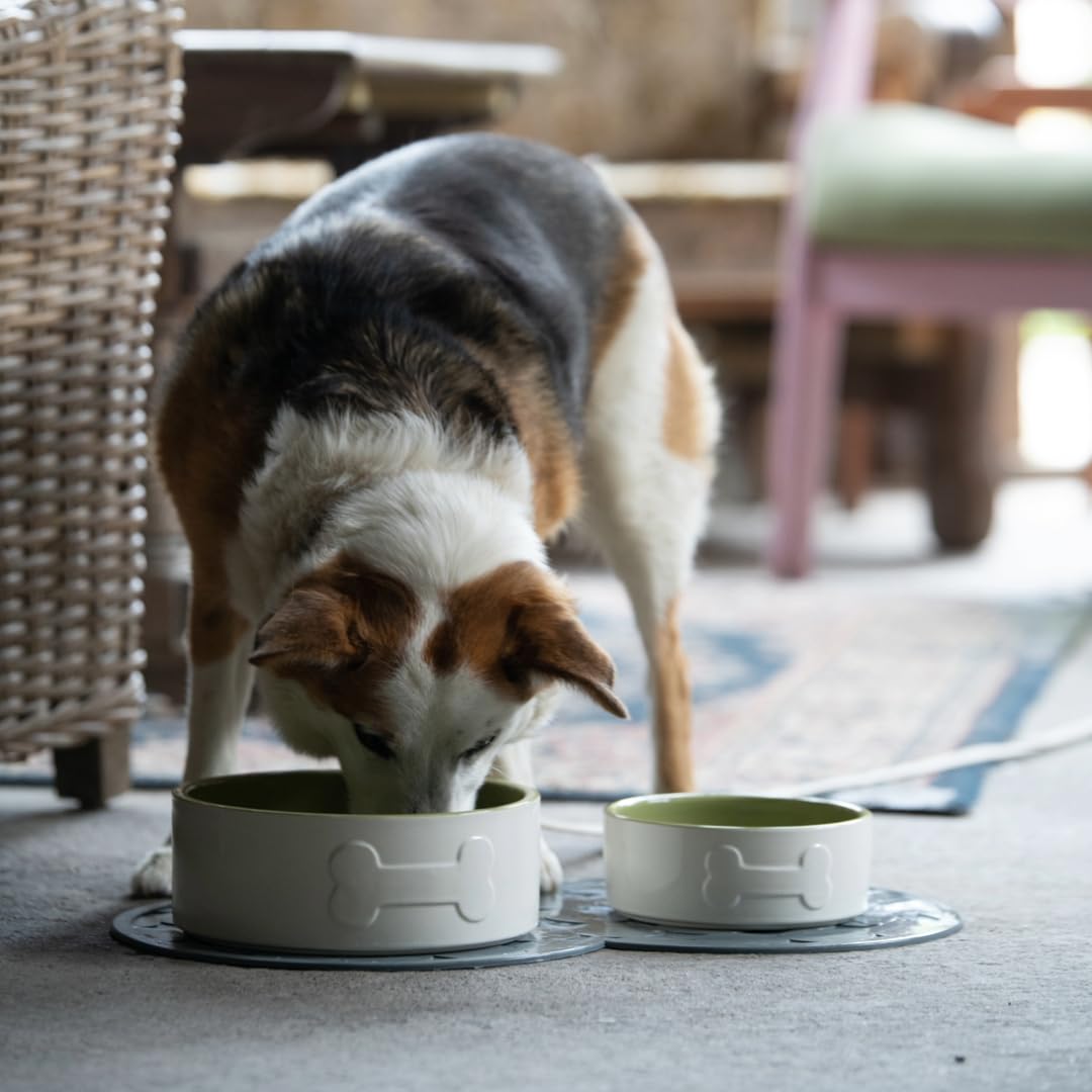 Petface Ceramic Bone Dog Bowl - 15 cm, Cream/Green | Durable | Pet Safe 5