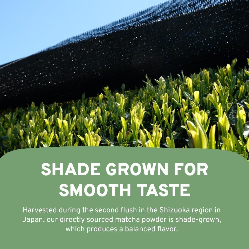 HANDPICK Japanisches Matcha-Grünteepulver (100 g) – kulinarische Qualität, gentechnikfrei, wiederverschließbare Verpackung 8