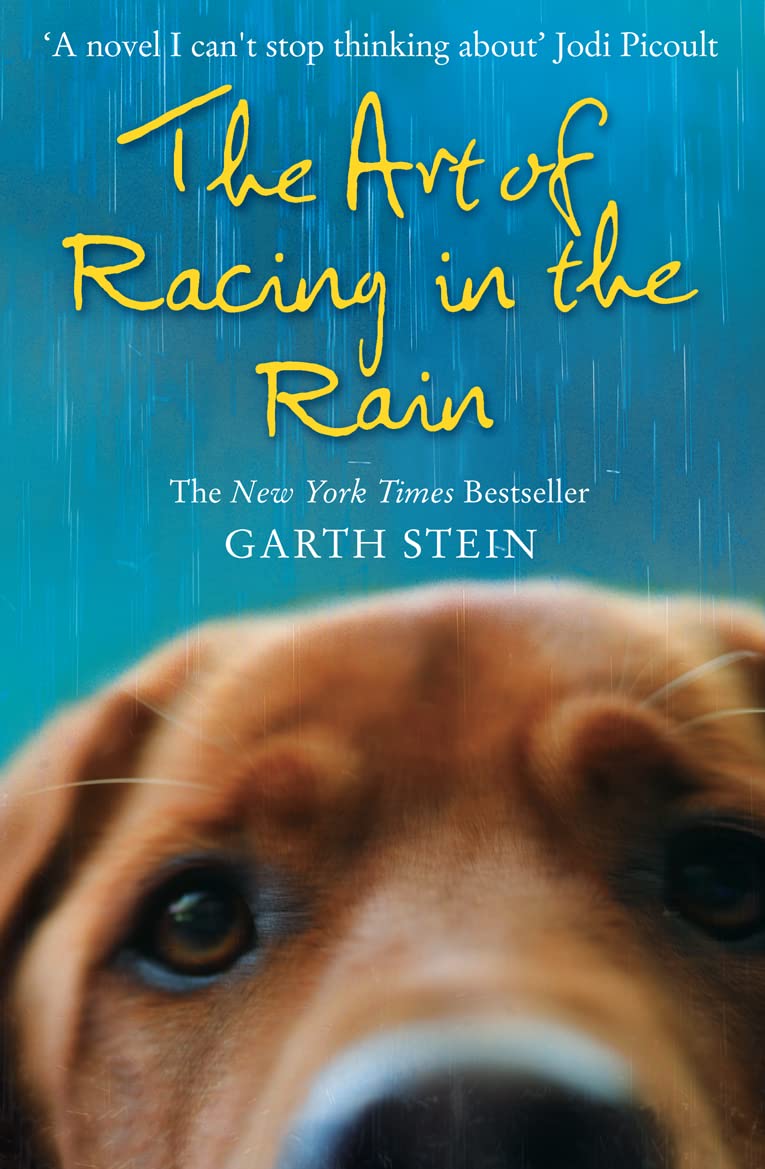 The Art of Racing in the Rain by Garth Stein - Automotive Humour Novel 1
