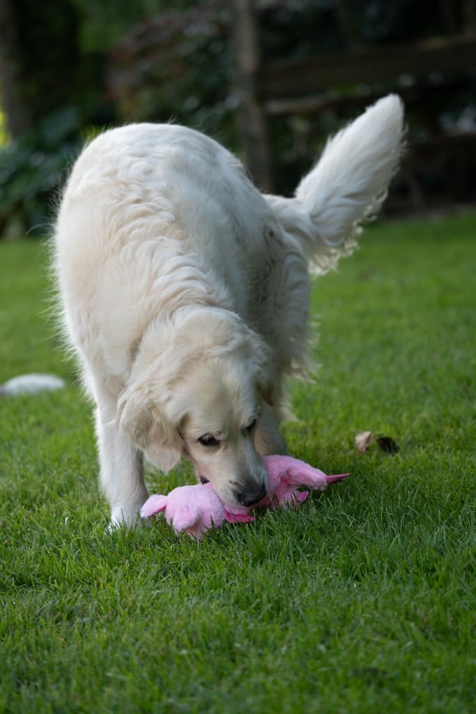 Petface Farmyard Buddies Crinkle Flat Pig Dog Toy - Small Size | Lightweight | Pink 4