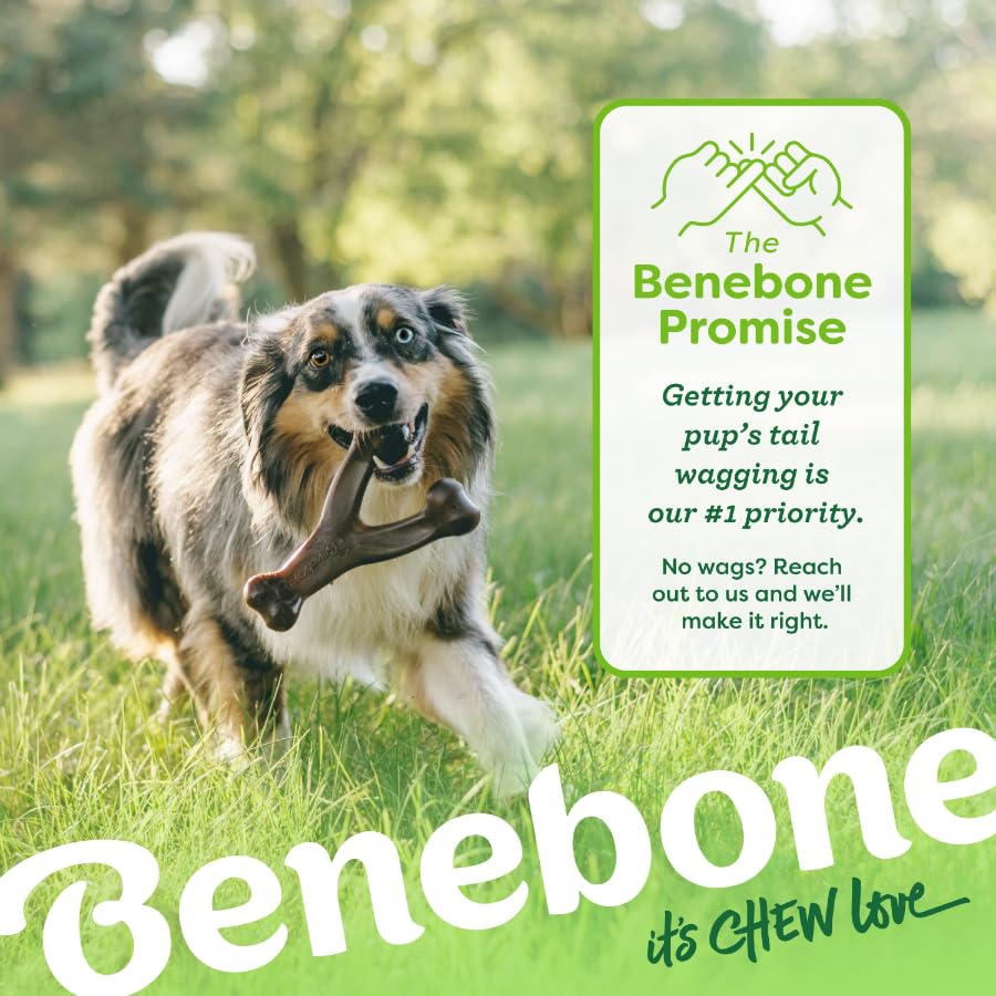 Benebone Wishbone Dog Chew Toy - Long Lasting, Real Chicken Flavor | Large Size 6