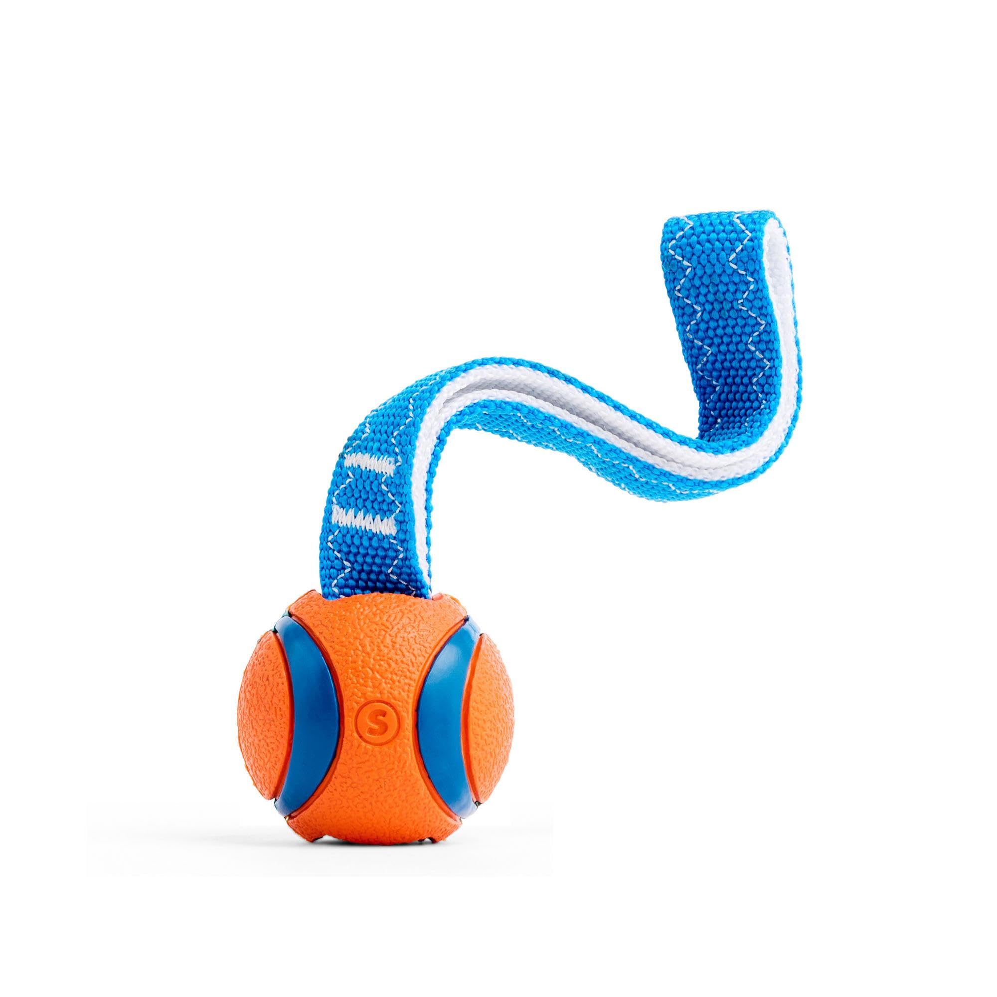 Chuckit! Ultra Tug Dog Toy - Durable Rubber for Tug of War | High Bounce | Small Size 5