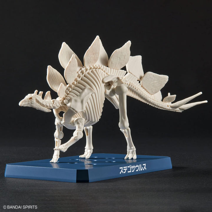 Bandai Dinosaur Plastic Stegosaurus Model Kit - Buildable Prehistoric Creature Toy