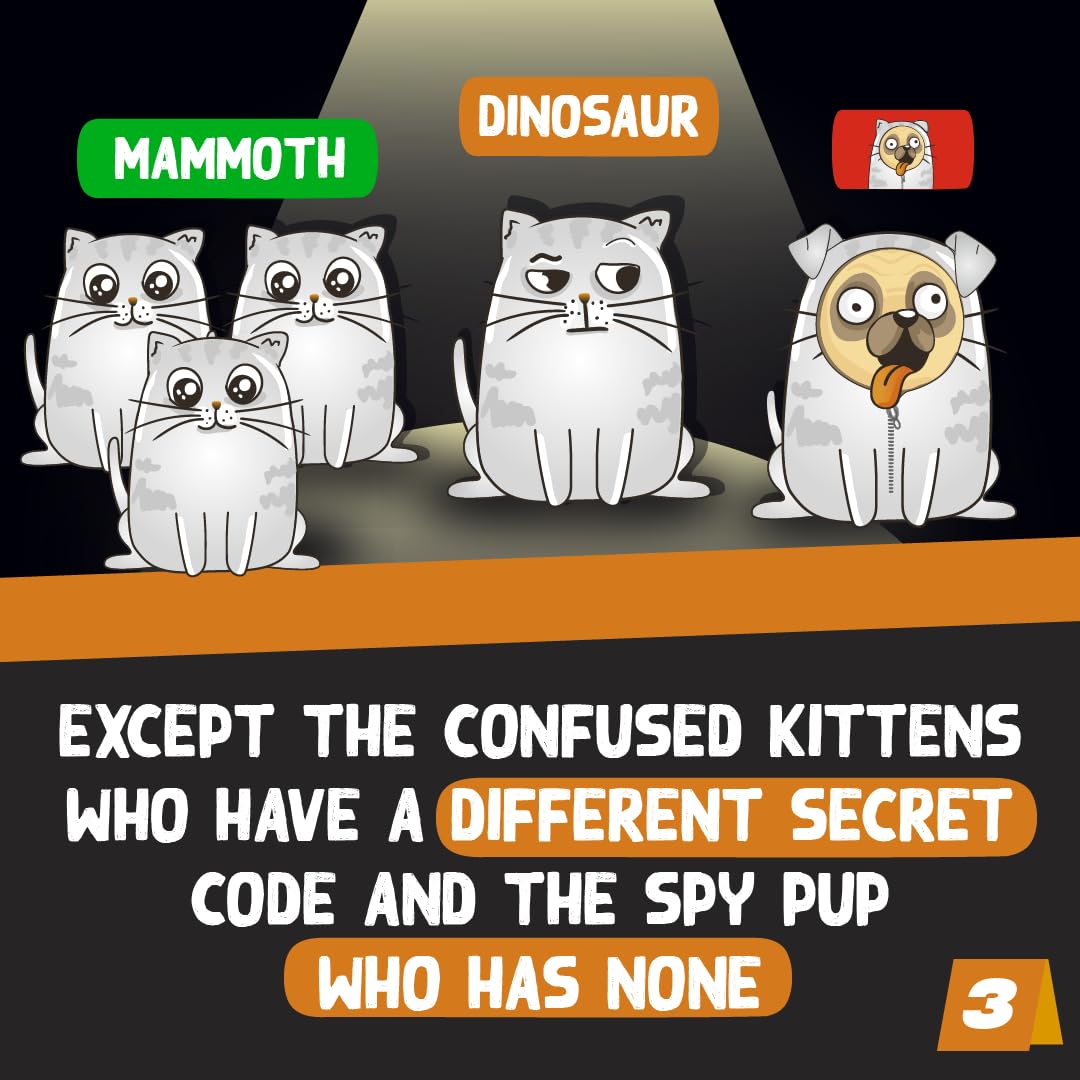 Exploding Kittens Little Secret Bluffing Card Game