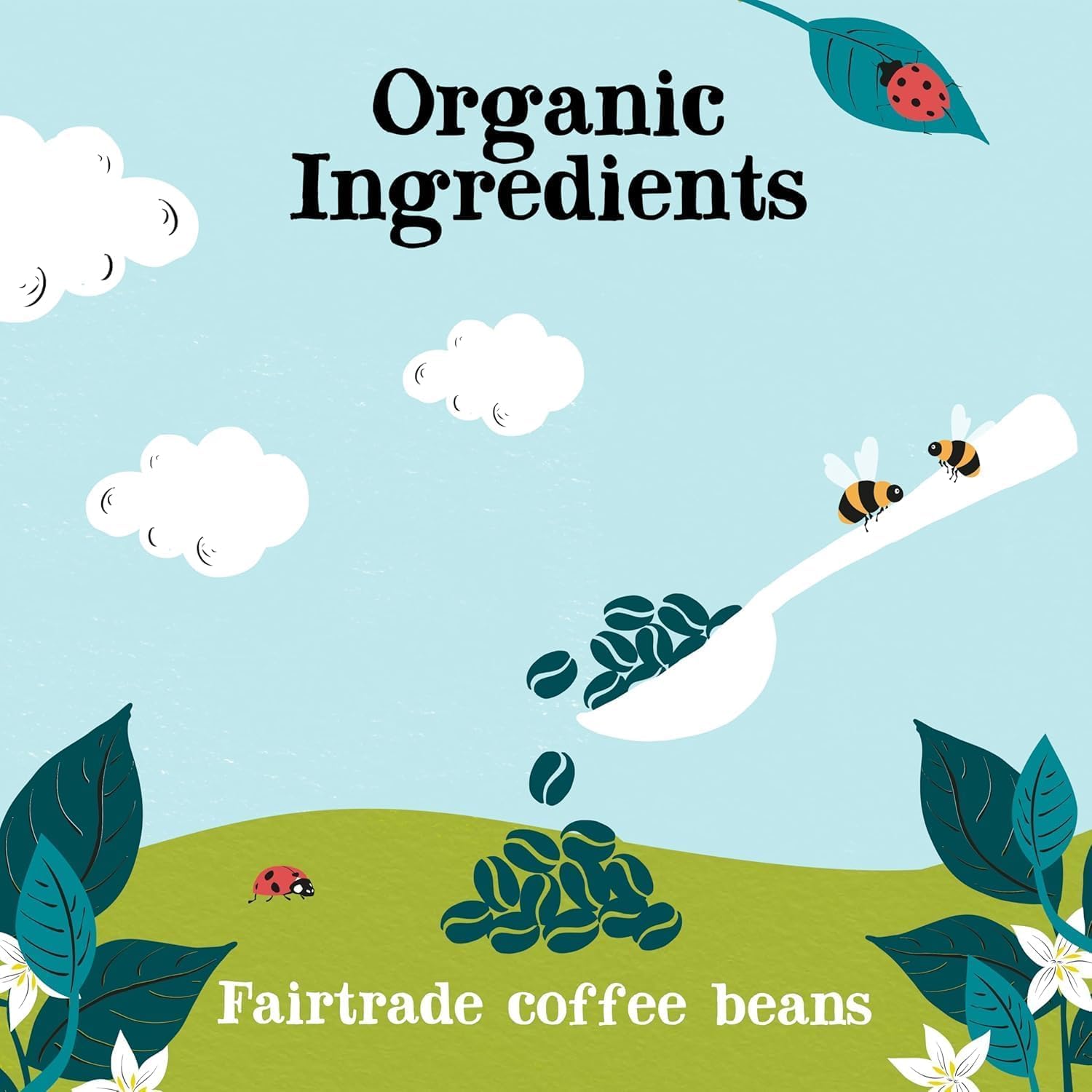 Clipper Natural, Fair & Delicious Organic Arabica Instant Coffee - 6 x 100g Jars | 600g Total 3
