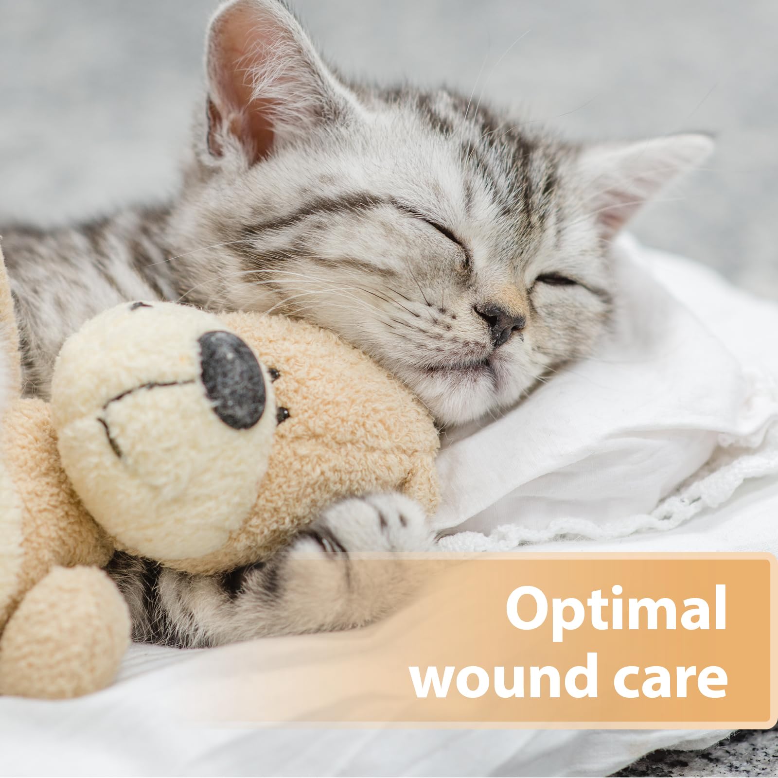 Felisept Wound Spray for Cats - 75ml Antiseptic | Veterinarian Recommended | Made in Germany 5