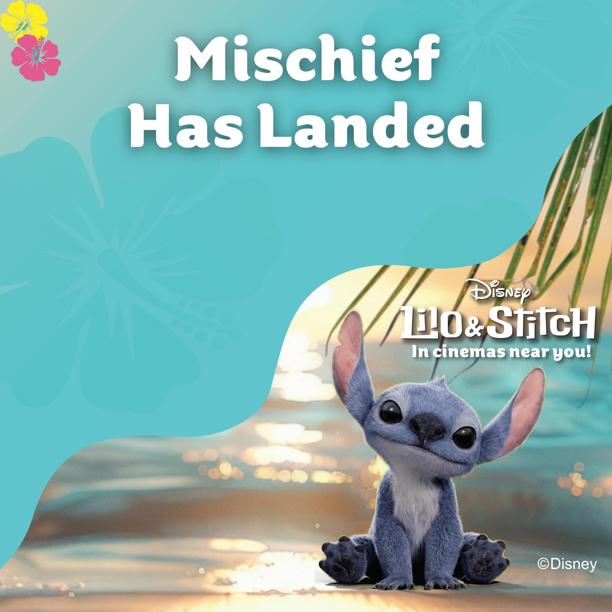 Scrub Daddy Disney Stitch FlexTexture Dish Sponge Twin Pack - Smiley Face Scourers for Kitchen & Bathroom 3