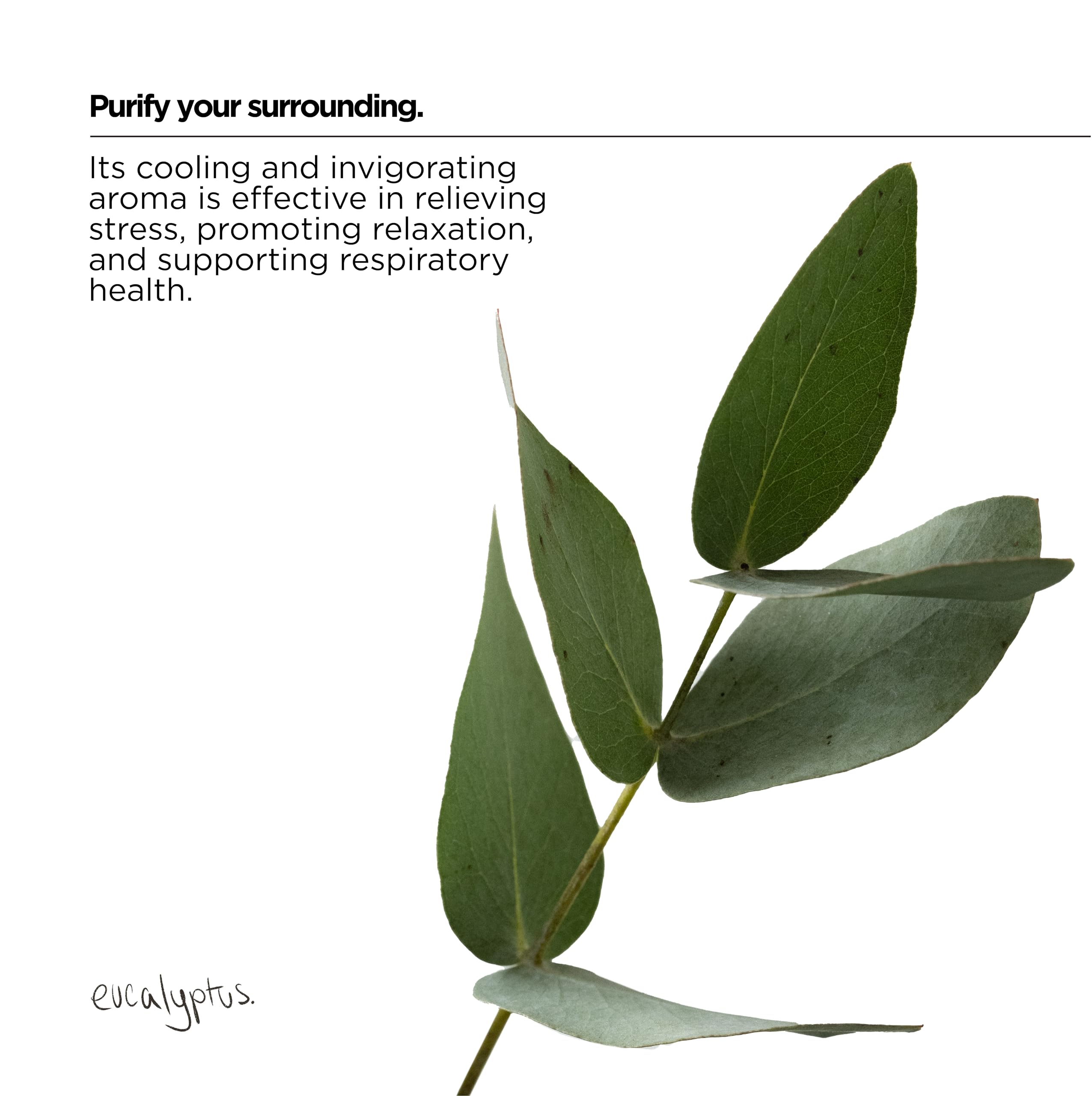 The Lab Co. - Laundry Detergent Strips (32 Loads, Non-Bio, Sensitive Skin, Energising Grapefruit Amber Eucalyptus) 6