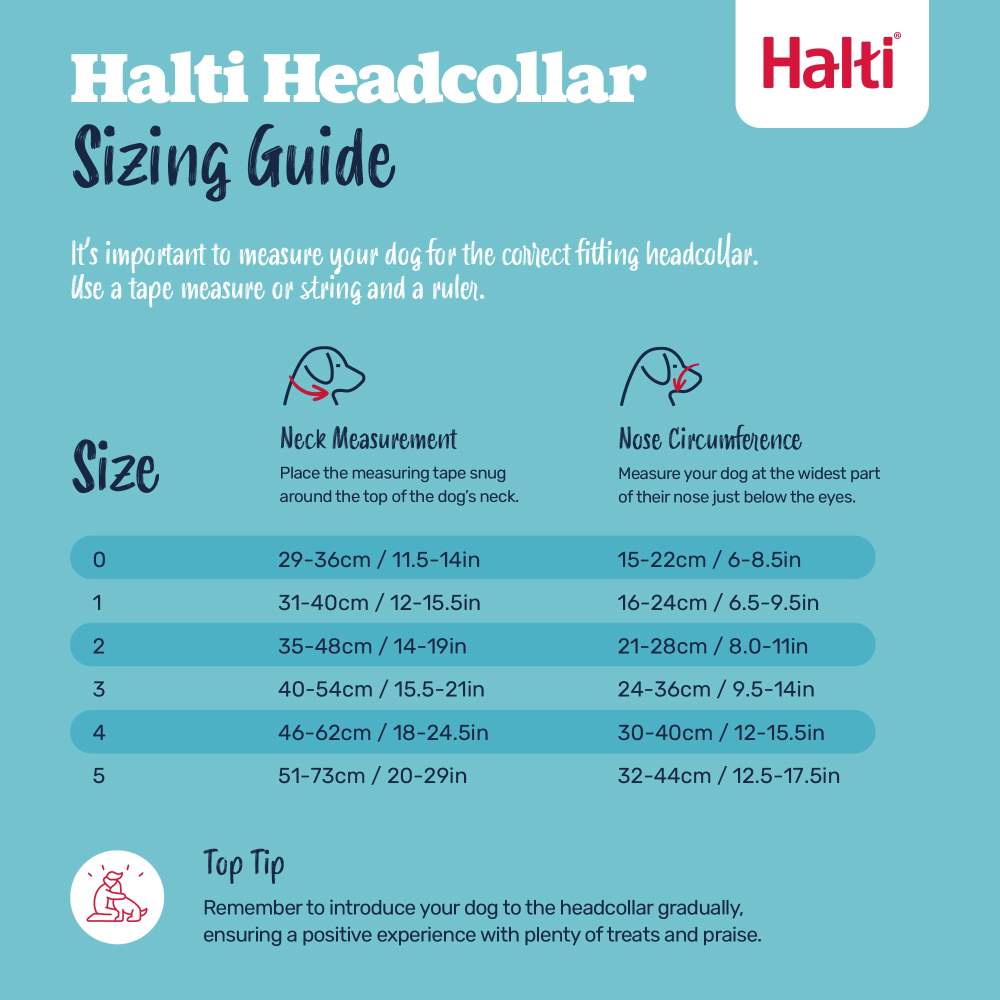 Halti Headcollar for Dogs - Stops Pulling | Size 3, Pink 5
