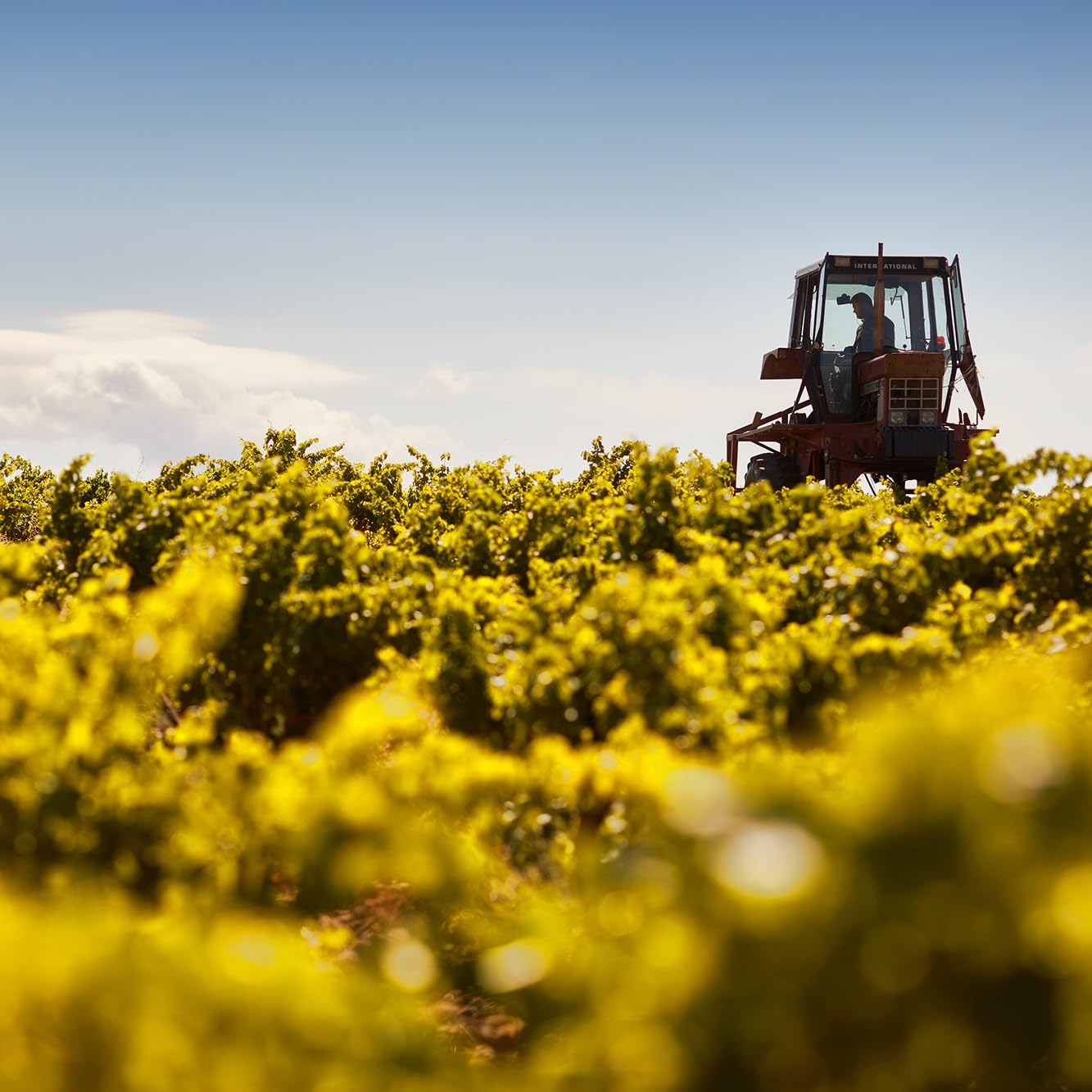 Chevalier de Altimar Prestige de Princes Chateauneuf du Pape 2023 Vintage Red Wine - 75cl with Gift Box 10