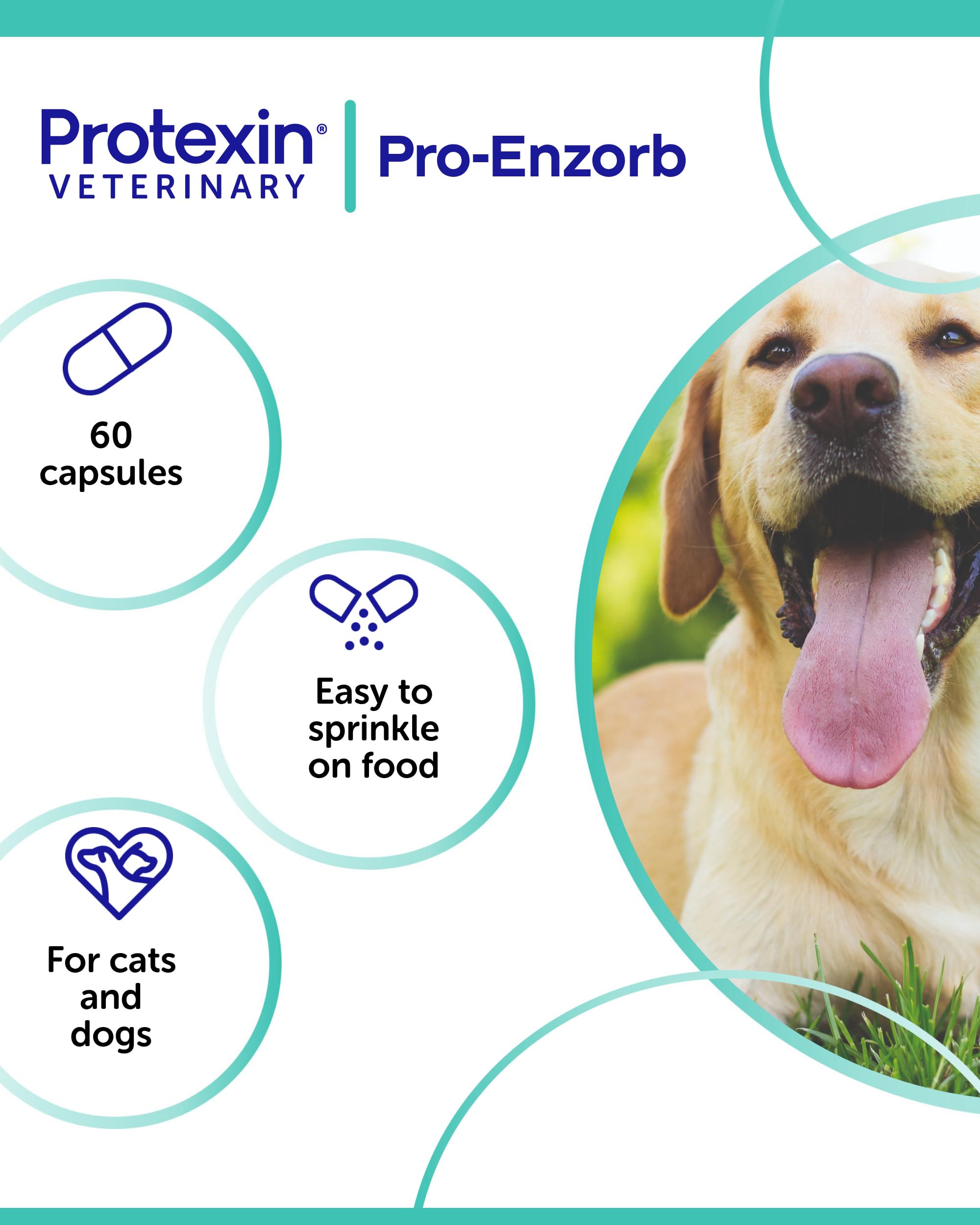 Protexin Veterinary Pro-Enzorb Digestive Supplement for Dogs & Cats | Enzyme & Probiotic Formula 5