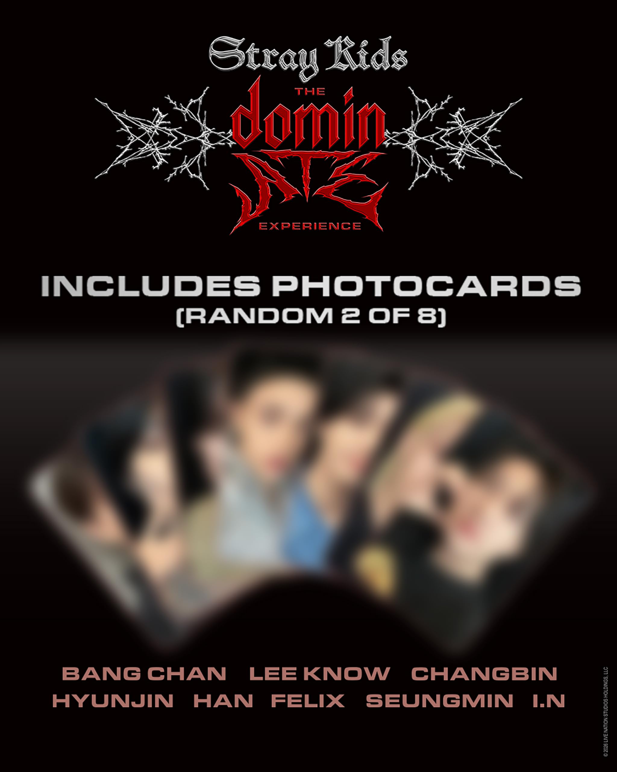 Stray Kids: The dominATE Experience [DVD] 2