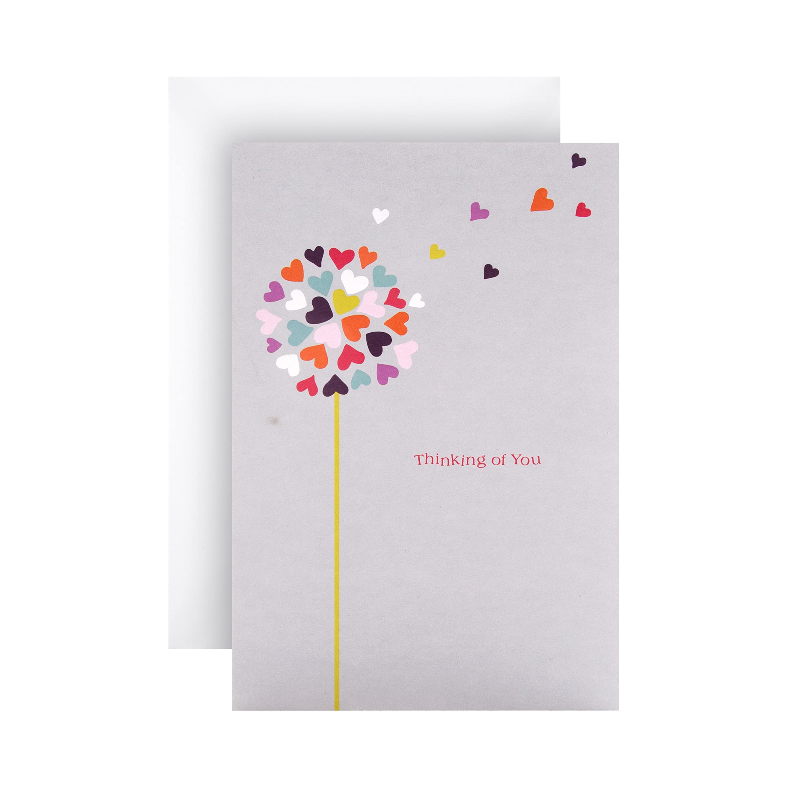 Hallmark Thinking Of You Card - Contemporary Illustrated Design with Embossed Dandelion
