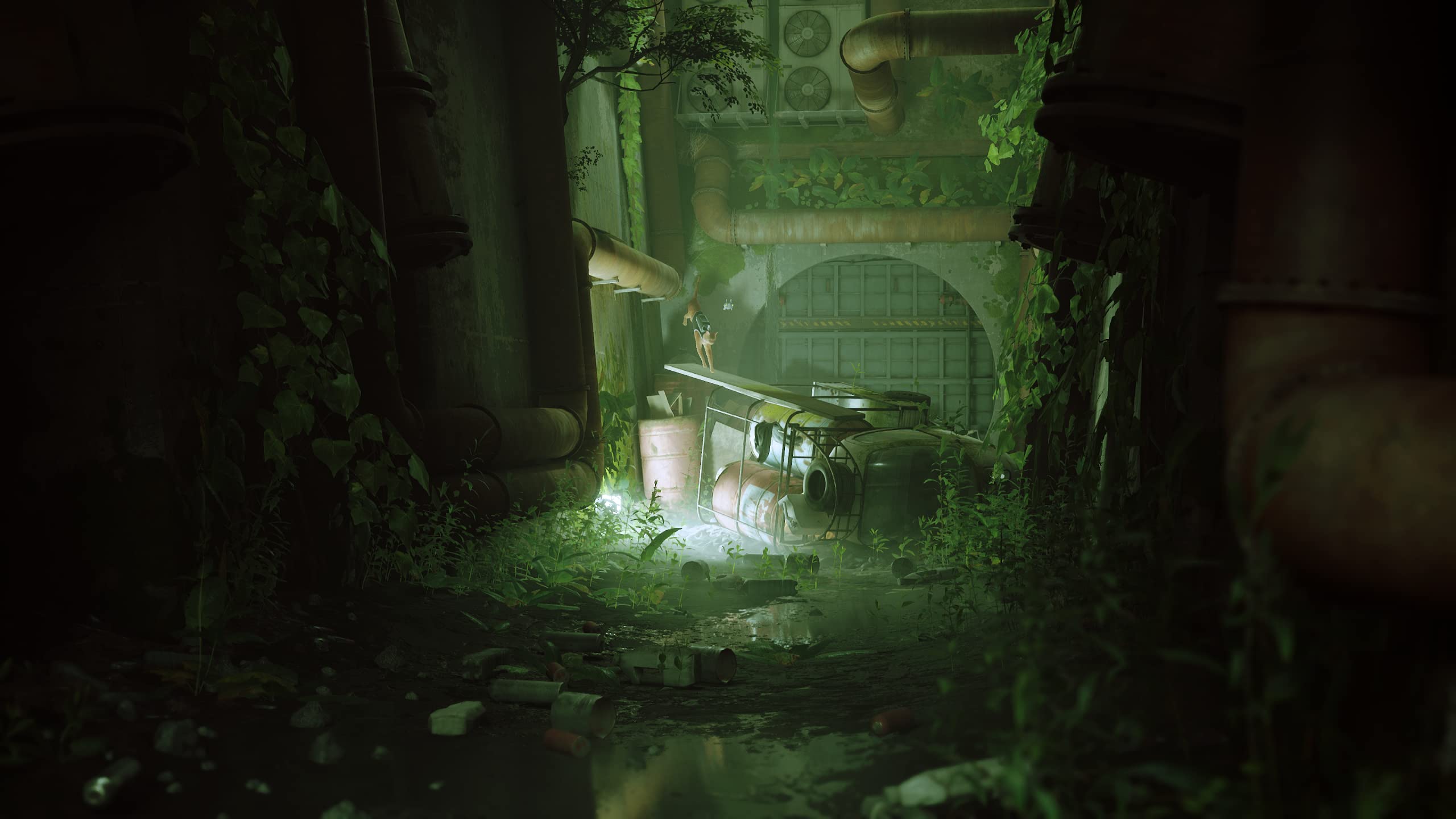 Stray (PS4) 5