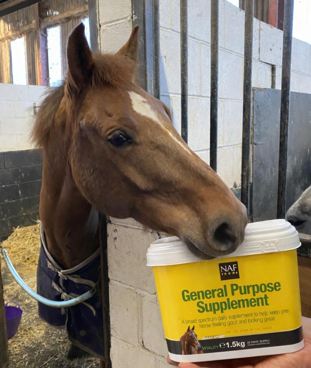 NAF General Purpose Supplement - Comprehensive Equine Nutrition | 1.5kg Powder
