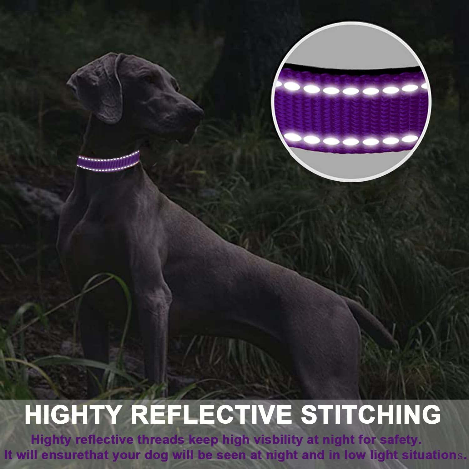 ATETEO Reflective Adjustable Dog Collar with Soft Neoprene - Purple, Size S 5