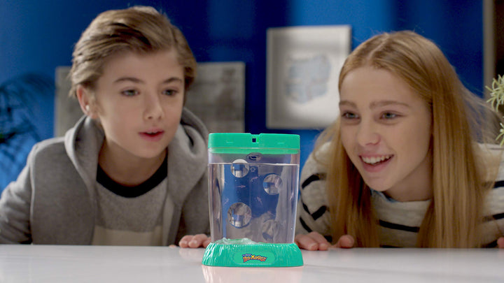 Sea Monkeys Ocean Zoo - Educational Science Kit for Kids 5-10